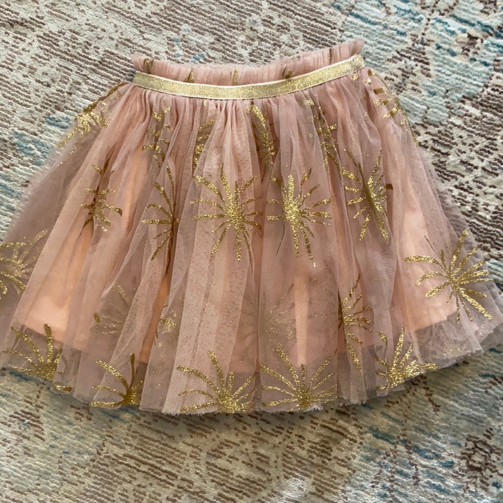 Gold & Pale Pink Nicole Miller Tulle Skirt